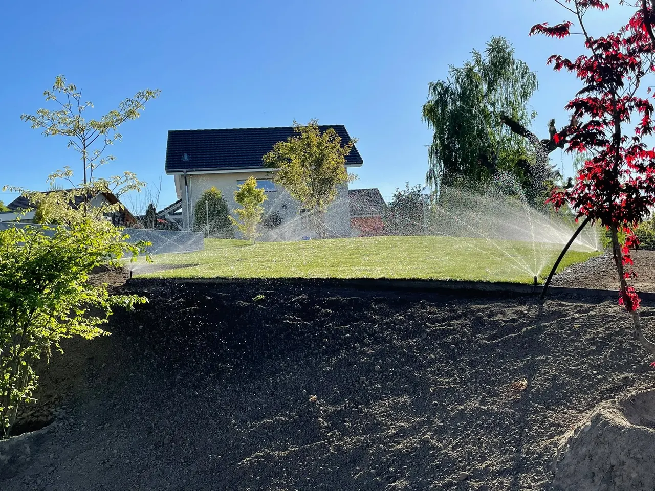 Pelouse fraîchement posée arrosée par des arroseurs escamotables devant une villa